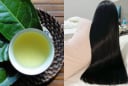 Cách gội đầu bằng nước chè xanh (trà xanh) giúp giảm gãy rụng, tóc con mọc tua tủa