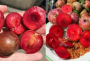 Một ngày nên ăn bao nhiêu quả mận để không bị nóng trong?
