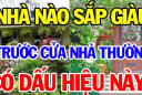 Nhà có 3 thứ này càng ở càng giàu có