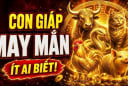 4 con giáp chào đời có thần May Mắn kề cận, Tiền chẳng mấy khi vơi