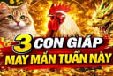 Ăn may nhất tuần (11/5-17/5), 3 con giáp lương thưởng tăng gấp đôi