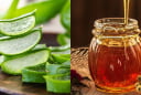Mật ong kết hợp với nha đam có tác dụng gì cho da?