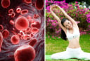 4 bộ phận trên cơ thể càng “mềm” càng sống lâu: Ai sở hữu đủ thật đáng mừng