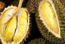 4 mẹo chọn sầu riêng ngon, múi to, cơm dày