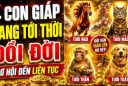 4 con giáp Danh tiến - Lợi tăng - Duyên đến, đời này ăn no ngủ kỹ