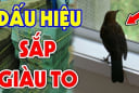 3 cpn vật vào nhà Thần Tài ghé thăm: Đừng dại đuổi chúng đi nhé