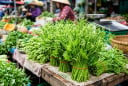 Bác sĩ Đông y gợi ý loại rau nên ăn mùa nóng: Ít calo, giàu khoáng chất, hợp cả người bị gút