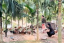 Bỏ công việc ổn định ở thành phố, nữ thủ khoa chọn sống giữa trang trại rộng hàng nghìn mét vuông