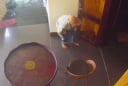 Chân dung tên trộm đi máy bay từ Hải Phòng vào Cần Thơ đột nhập biệt thự trộm 1,5 tỷ đồng