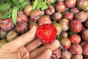 Loại quả nhỏ quen thuộc nhưng lại được xem là “siêu thực phẩm” giúp da đẹp và tóc khỏe hơn
