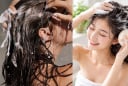 Gội đầu nên thoa dầu gội lên tóc hay lên da đầu? Nhiều người đang làm sai nên không sạch còn hại tóc