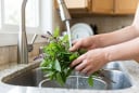 Người thích ăn rau húng quế nên biết điều này để tránh “lợi bất cập hại”