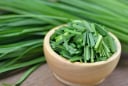Loại rau dân dã nhiều người chê ví như “trợ thủ vàng” của sức khỏe với 5 lợi ích tốt hơn cả thần dược