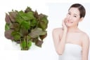7 cách trị nám tại nhà bằng nguyên liệu tự nhiên giúp da sáng đều màu