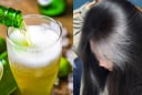 Cách gội đầu bằng bia giúp sạch gàu, mượt tóc, tóc con mọc ầm ầm