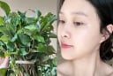 Cách dùng rau diếp cá thu nhỏ lỗ chân lông, da trắng hồng, mờ thâm