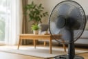 7 lỗi sai khi dùng quạt điện mùa hè: Nhiều người đang mắc làm tốn điện còn hại sức khoẻ