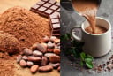 Cách uống cacao đẹp da, giảm cân nhanh và hiệu quả