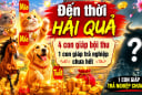 Dự báo 4 con giáp Đến Thời Hái Quả, 1 tuổi trả nghiệp chưa hết