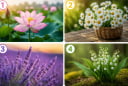 Quiz: Chọn 1 bông hoa cỏ bạn thích nhất: Tiết lộ tuổi già của bạn sẽ thong dong hay còn nhiều tất bật