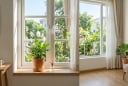 3 loại cây nhỏ nên đặt gần cửa sổ mùa hè giúp nhà mát hơn