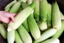 Luộc ngô đừng vội bóc sạch vỏ: Cho thêm thứ này vào nồi, ngô ngọt lịm mọng nước