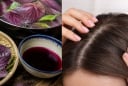 Cách gội đầu bằng lá tía tô giúp da đầu sạch gàu, hỗ trợ tóc mọc khỏe hơn