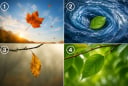 Quiz: Chọn chiếc lá khiến bạn ấn tượng nhất để khám phá sức mạnh nội tâm của bạn mạnh đến đâu