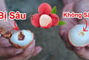 Mua vải đừng chỉ chọn quả to: Nhìn điểm này biết ngay hạt nhỏ, ăn ngọt lịm, không sâu đầu