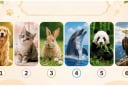 Quiz: Hình ảnh con vật yêu thích có thể tiết lộ trong mắt người khác, bạn thực sự là người như thế nào