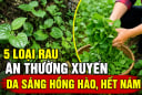 5 loại rau ăn thường xuyên da sáng hồng hào, hết nám