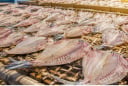 Ăn nhiều 6 loại cá này có thể tăng nguy cơ ung thư nhưng vẫn nhiều người thích ăn