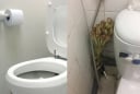 Vì sao người ta hay đặt một bó sả vào nhà vệ sinh?