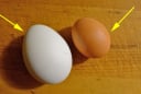 Trứng gà vỏ trắng và vỏ nâu, loại nào bổ hơn?