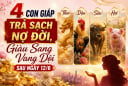 4 con giáp Trả Sạch Nợ Đời, Giàu Sang Vang Dội sau ngày 12/6