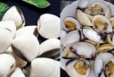 Mẹo để ngao nhả sạch cát nhanh: Đừng chỉ ngâm nước, nhiều người đang làm sai từ bước đầu