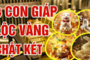 3 ngày cuối tuần: 4 con giáp 'gánh vàng' về nhà, ung dung tiền tự đến