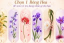 Chọn bông hoa yêu thích nhất để xem vũ trụ đang gửi tới bạn lời nhắn gì