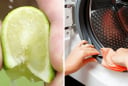 Tại sao bạn nên vắt chanh vào máy giặt?