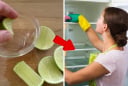 Tại sao bạn nên vắt chanh vào tủ lạnh?