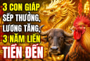 3 con giáp sếp thưởng, lương tăng, 3 năm liền Tiền đến