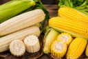 Ngô nếp trắng hay ngô ngọt vàng bổ dưỡng hơn? Nên chọn loại nào?