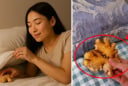 Tại sao khi đi ngủ nên đặt 1 nhánh gừng dưới gối? Điều kỳ diệu gì xảy ra