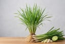 4 loại cây 'khắc tinh' của rắn: Trồng ngay quanh nhà để bảo vệ gia đình an toàn!