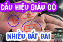 Người tài ba xuất chúng càng già càng giàu có 3 nét tướng này trên lòng bàn tay: Đó là gì?
