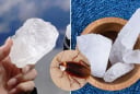 Nguyên liệu đuổi gián giá rẻ, hiệu quả cực tốt, nhiều người chưa biết