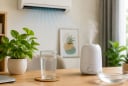 Ở phòng điều hòa cả ngày, nên đặt thêm 3 thứ này để vừa mát vừa giữ sức khỏe
