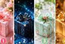 Chọn 1 chiếc hộp quà để xem điều hạnh phúc nhất mà vũ trụ để dành tặng bạn trong cuộc đời là gì?