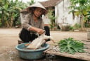Cách vặt lông vịt siêu nhanh, sạch bóng nhờ lá đu đủ