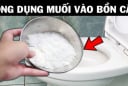 Thả nắm muối  trắng vào bồn cầu: Biết lý do rồi ai cũng muốn làm theo